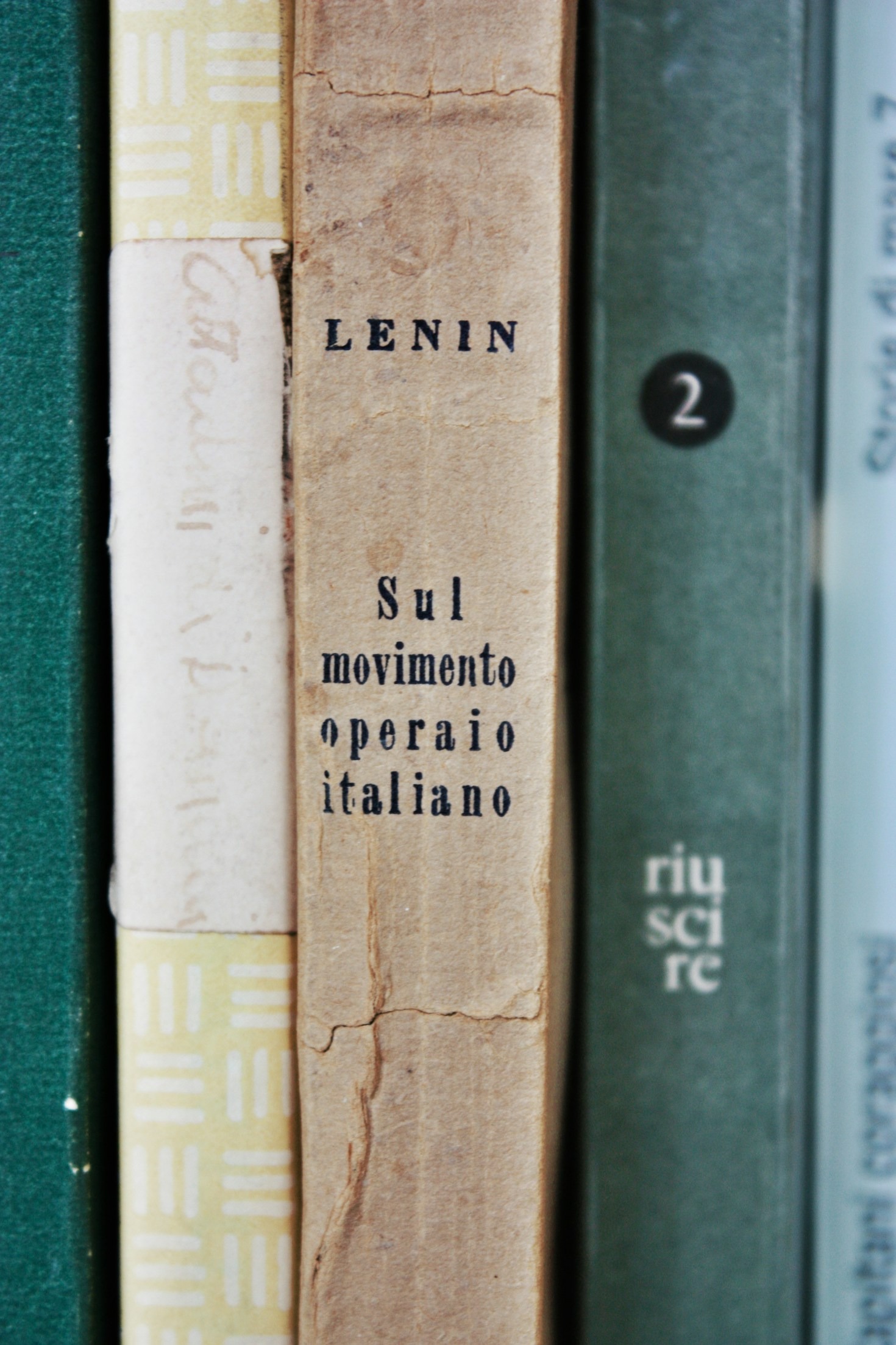 My Journey Through the World of Fiction
